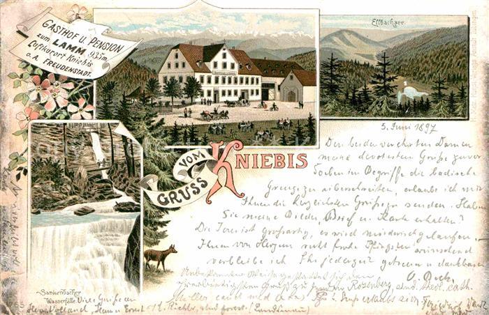 Kniebis Freudenstadt Ellbachsee Sankenbacher Wasserfaelle