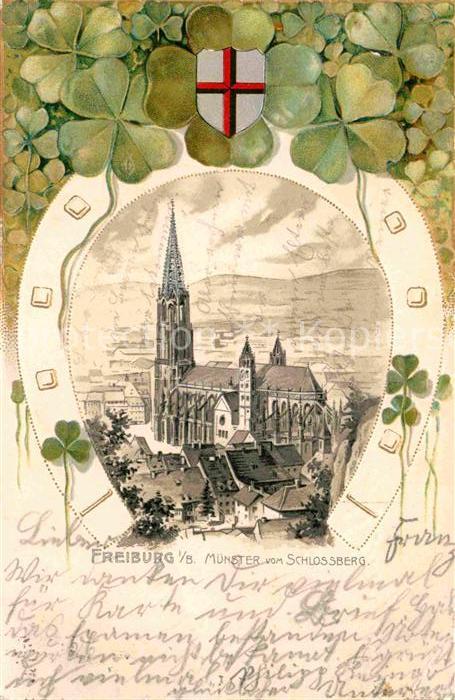 Freiburg Breisgau Muenster vom Schlossberg