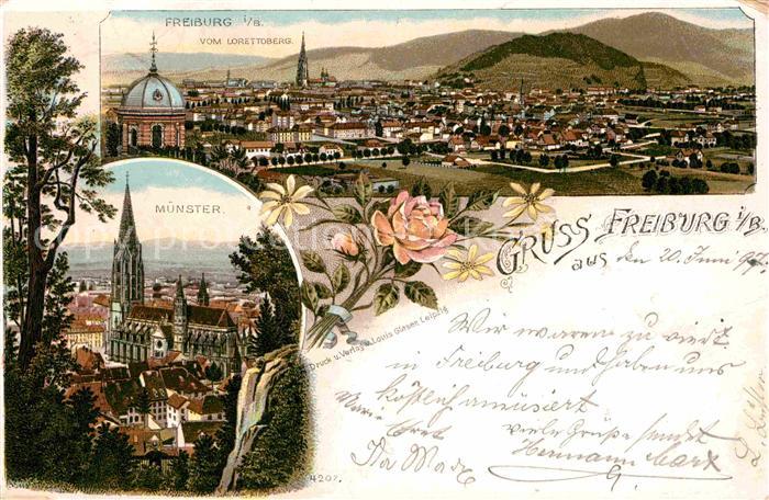 Freiburg Breisgau Muenster Blick vom Lorettoberg