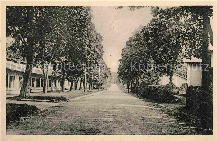 Oberhofen Elsass Hauptstrasse zum Lager NZ4