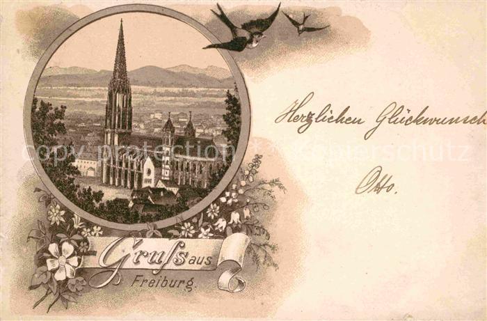 Freiburg Breisgau Muenster