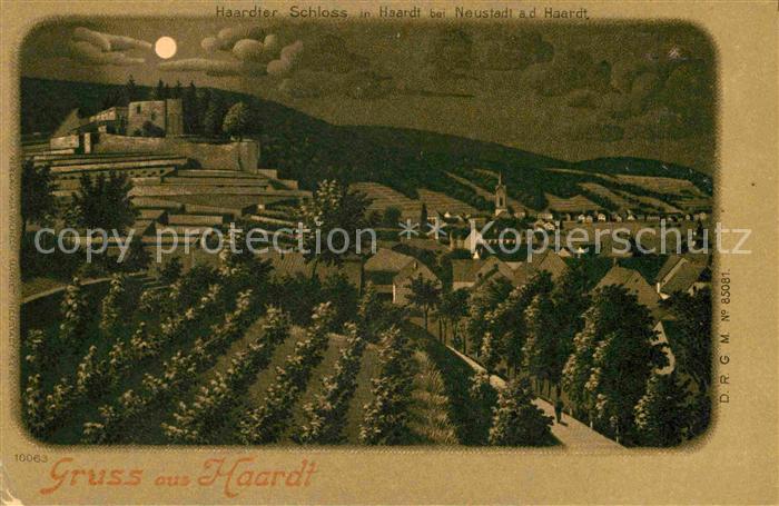 Haardt Weinstrasse Schloss bei Mondschein