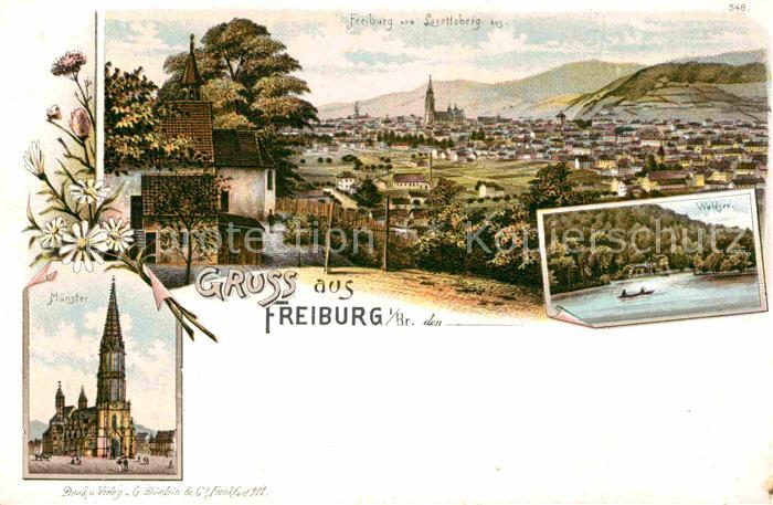 Freiburg Breisgau Blick vom Lorettoberg Muenster Waldsee