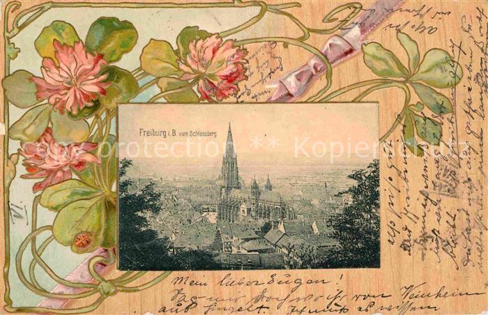 Freiburg Breisgau Muensterpartie