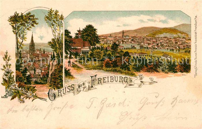 Freiburg Breisgau Muensterpartie Panorama