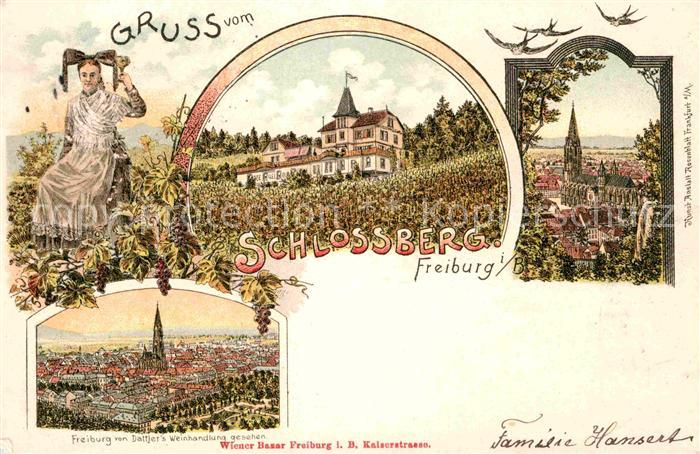 Freiburg Breisgau Tracht Schlossberg Muenster