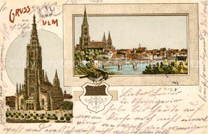 Ulm Donau Dom Donaupartie