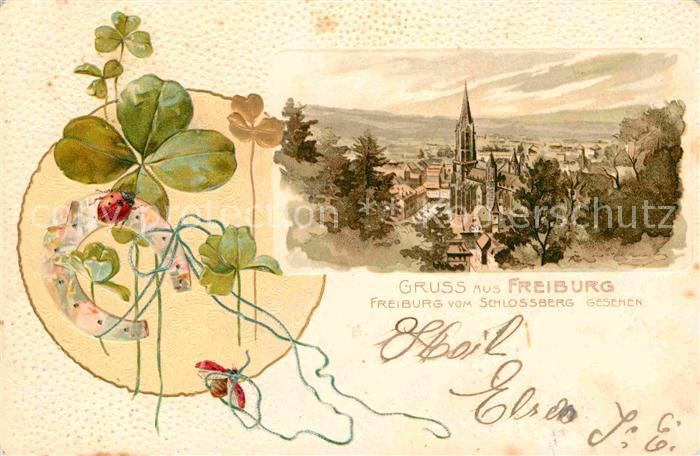 Freiburg Breisgau Blick vom Schlossberg