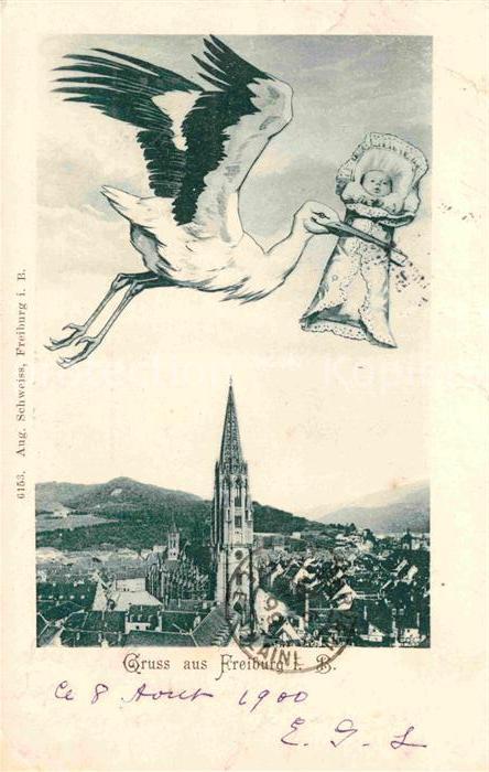 Freiburg Breisgau Muensterpartie