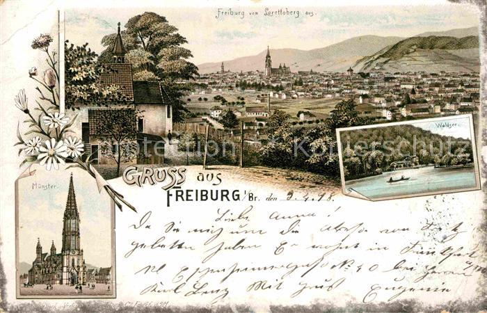 Freiburg Breisgau Panorama Muenster Waldsee