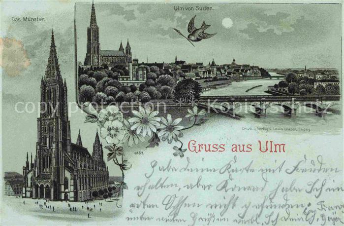 Ulm Donau Muenster Donaupartie