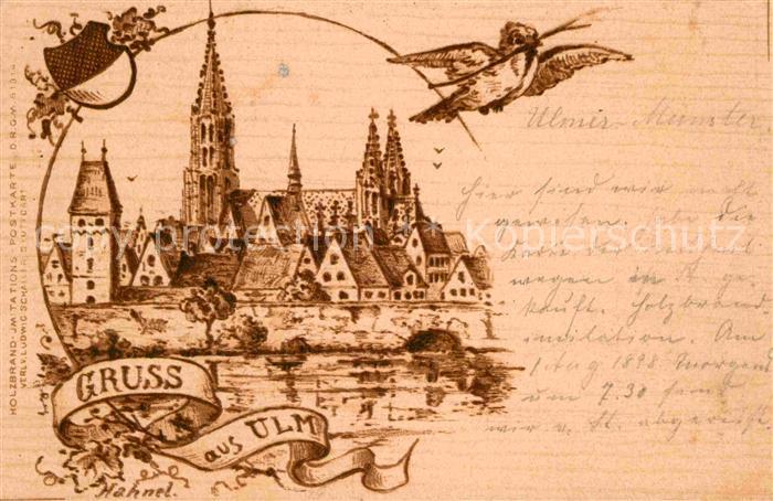 Ulm Donau Muensterpartie