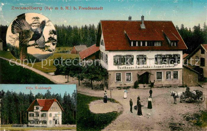 Zwieselberg Freudenstadt Gasthaus Auerhahn August Gebele