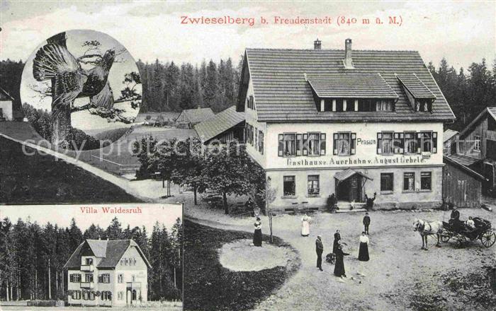 Zwieselberg Freudenstadt Gasthaus Auerhahn August Gebele