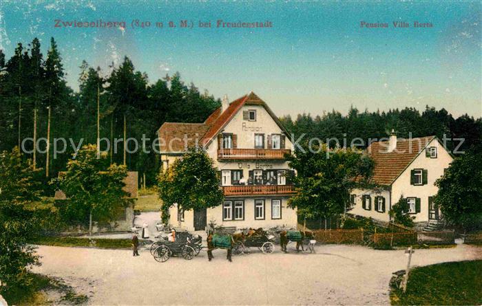 Zwieselberg Freudenstadt Pension Villa Berta