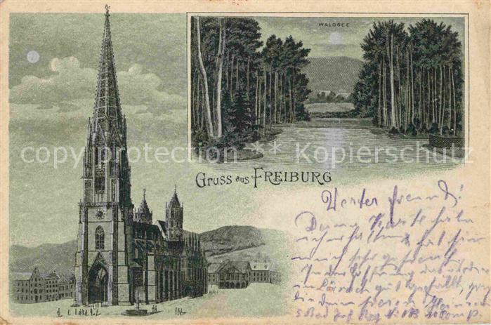 Freiburg Breisgau Muenster Waldsee