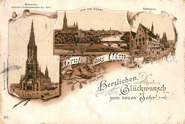 Ulm Donau Muenster Rathaus