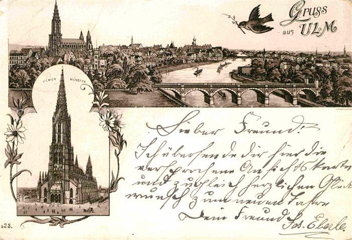 Ulm Donau Muenster und Donaupartie