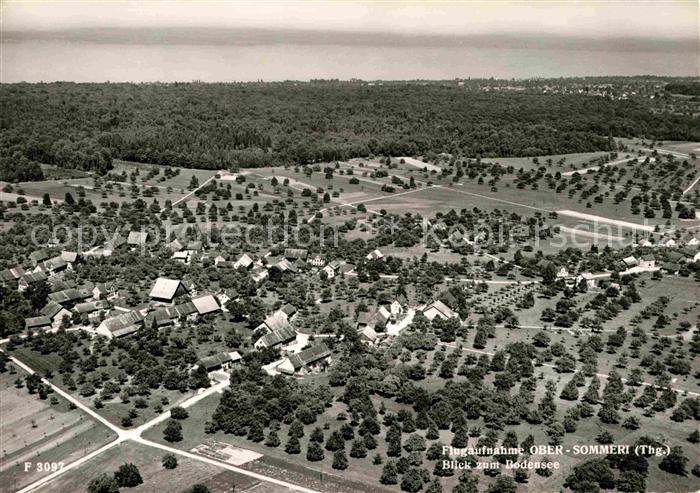 Sommeri Fliegeraufnahme mit Bodensee
