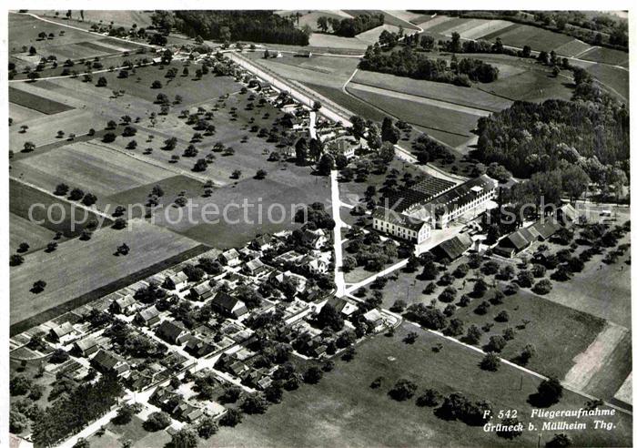 Grueneck Fliegeraufnahme