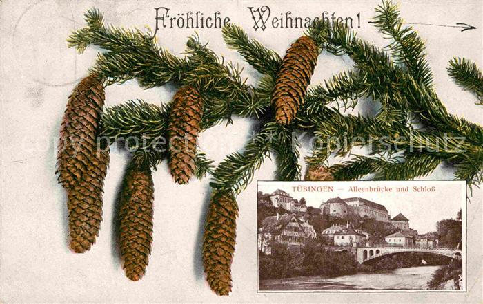 TueBINGEN BW Alleenbruecke Schloss