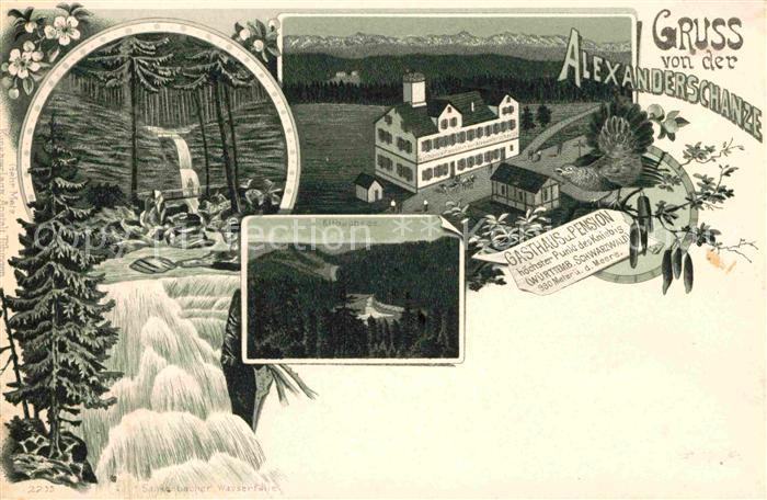 FREUDENSTADT BW Alexanderschanze Sankenbach-Wasserfaelle