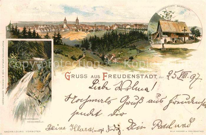 FREUDENSTADT BW Schwarzwaelder Bauernhaus Sankenbach Wasserfaelle