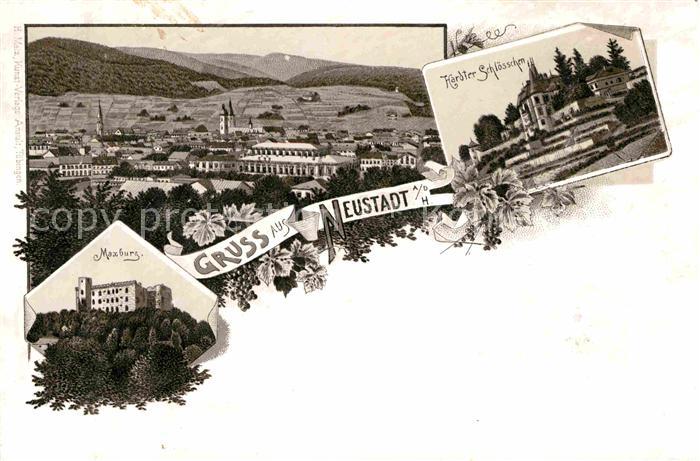 Neustadt Haardt Maxburg Hardter Schloesschen