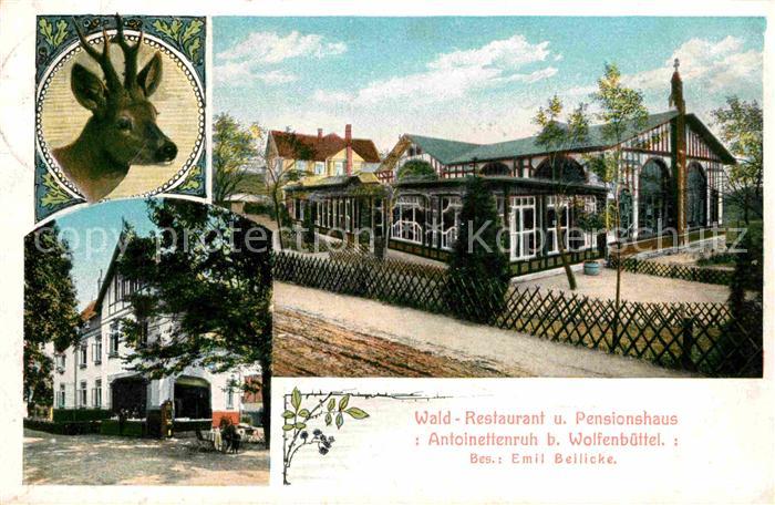 Wolfenbuettel Waldrestaurant Antoinettenruh