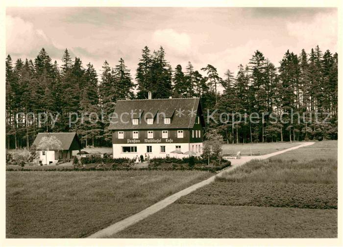 Hallwangen Pension Waldliesel