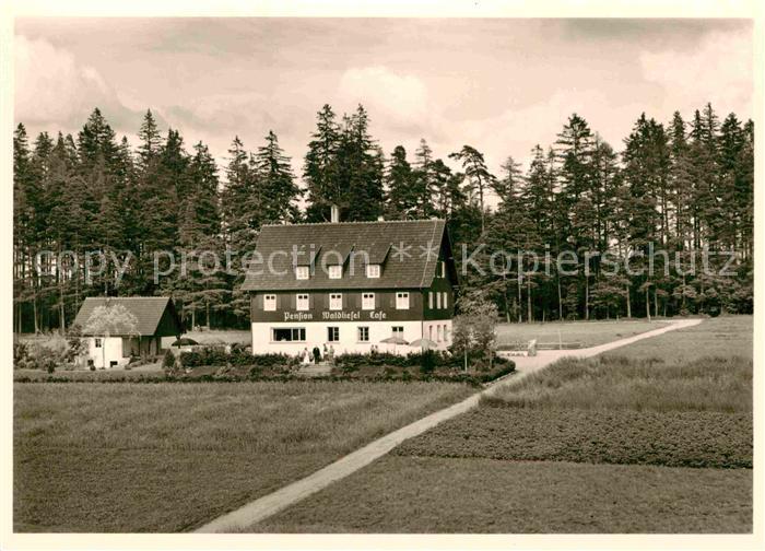 Hallwangen Pension Waldliesel
