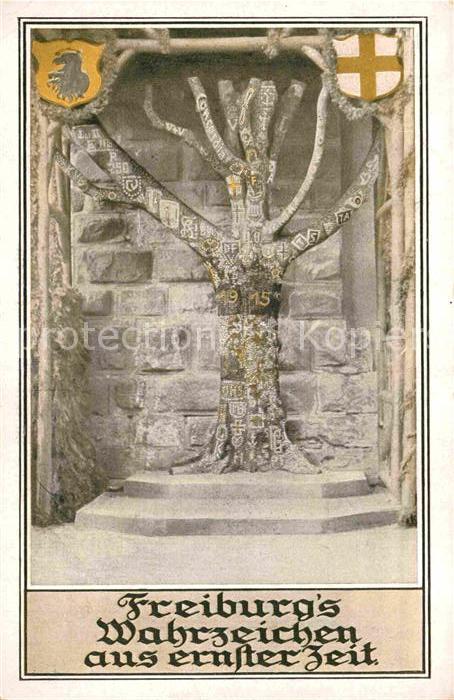 Freiburg Breisgau Eiserne Baum