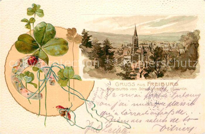 Freiburg Breisgau Blick vom Schlossberg