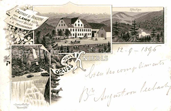 Kniebis Freudenstadt Gasthof Lamm Sankenbacher Wasserfall Ellbachsee