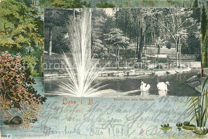 Lahr Schwarzwald Stadtpark Schwaene Wasserfontaene