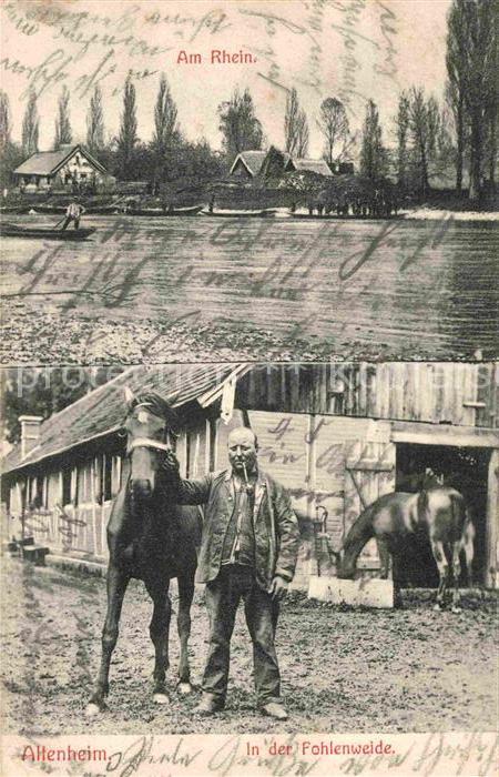 Neuried Ortenaukreis Rhein Altenheim Fohlenweide