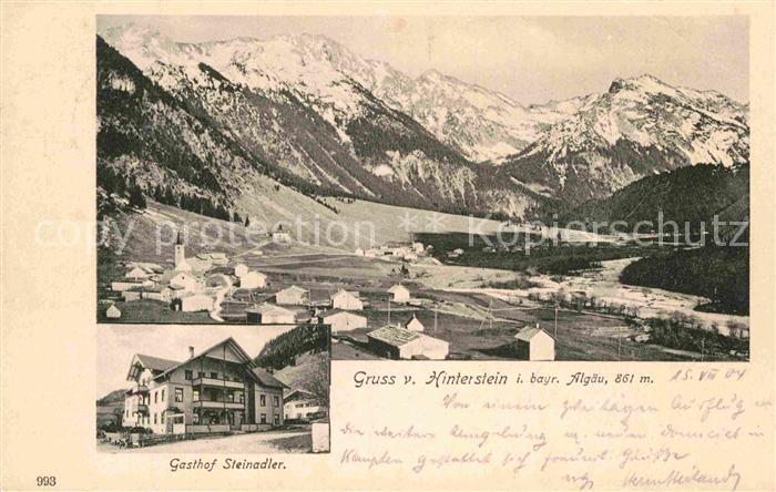 Hinterstein Bad Hindelang Gasthof Steinadler Panorama