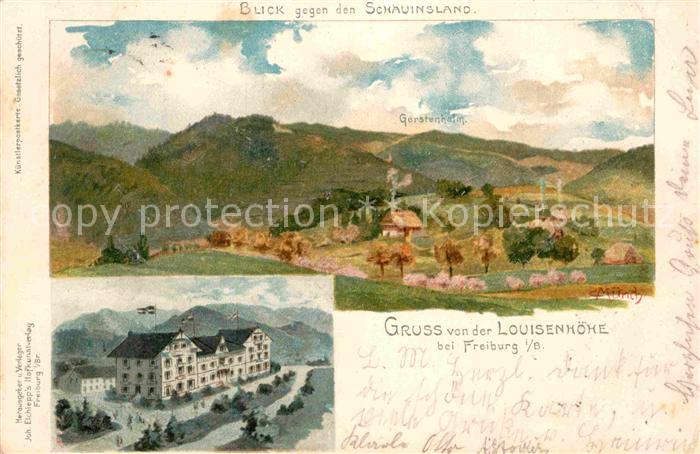 Freiburg Breisgau Louisenhoehe Schauinsland