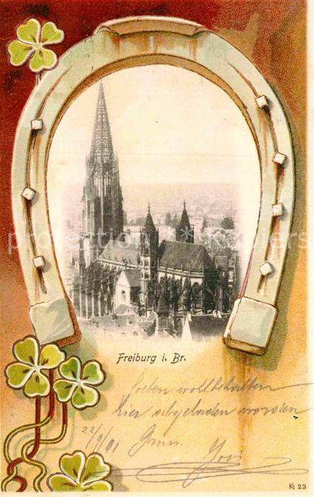 Freiburg Breisgau Muenster Hufeisen