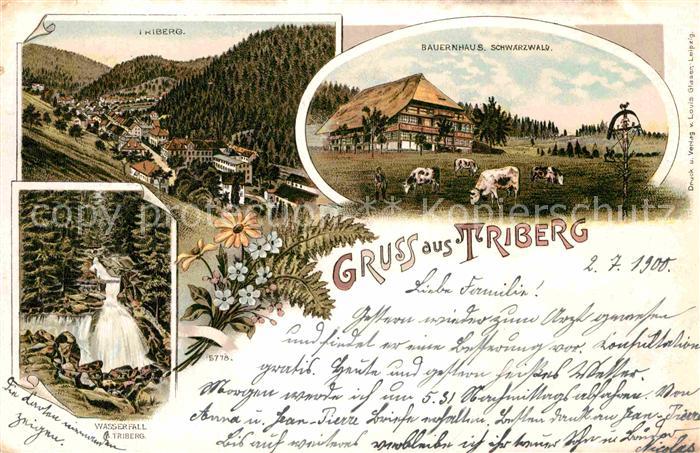 Triberg Schwarzwald Wasserfall Bauernhaus