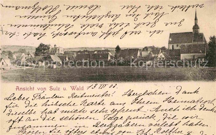 Sulz unterm Wald Wald Panorama