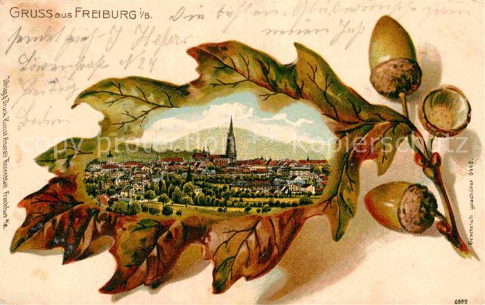 Freiburg Breisgau Panorama Eichenblatt Eicheln