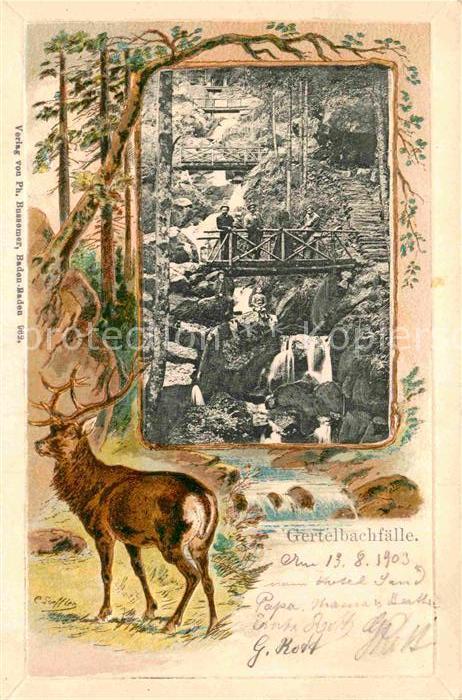 BADEN-BADEN BW Gertelbachfaelle Hirsch
