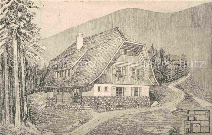 Freiburg Breisgau Schwarzwaldhaus Federzeichnung