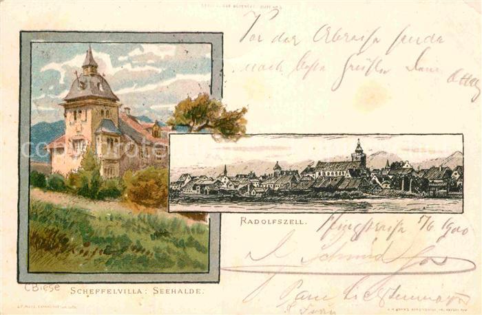Radolfzell Bodensee Scheffelvilla Seehalde Kuenstlerkarte C Biese
