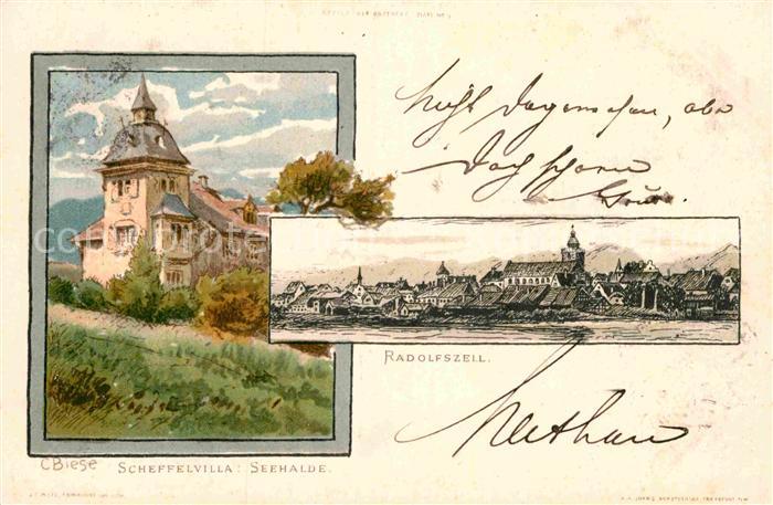 Radolfzell Bodensee Scheffelvilla Seehalde Kuenstlerkarte C. Biese