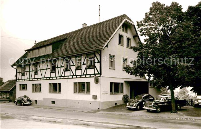 Stetten Bodensee Gruenes Baum