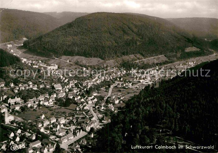 Calmbach Enz Fliegeraufnahme