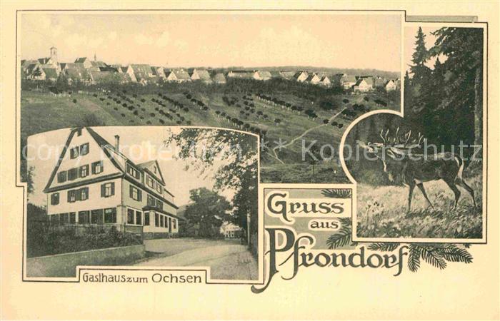 Pfrondorf Tuebingen Gasthaus Ochsen