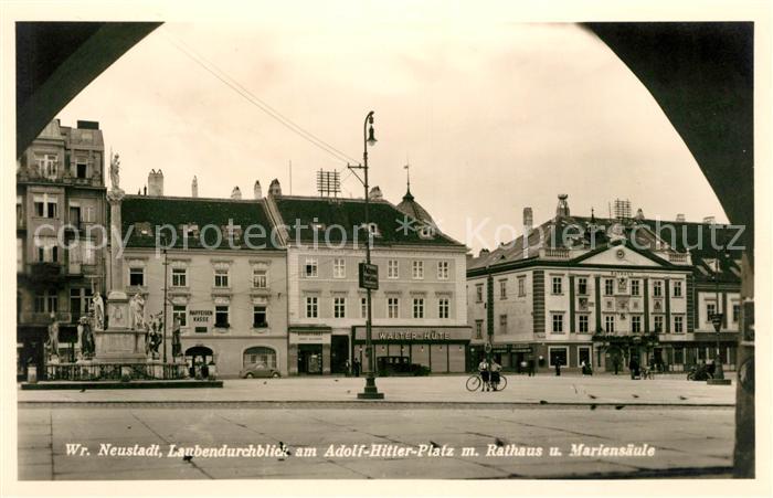 Wiener Neustadt Rathaus Mariensäule